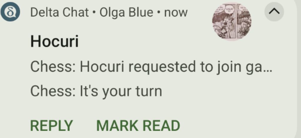 notification showing that it's Hocuri's turn to make a move